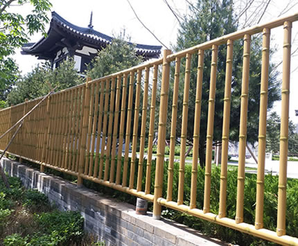 1614739493727512.jpg 44.jpg