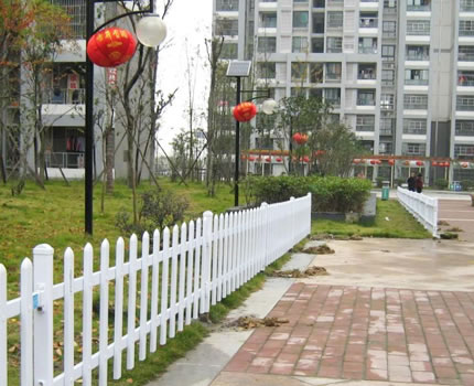 1615345917697595.jpg 44.jpg